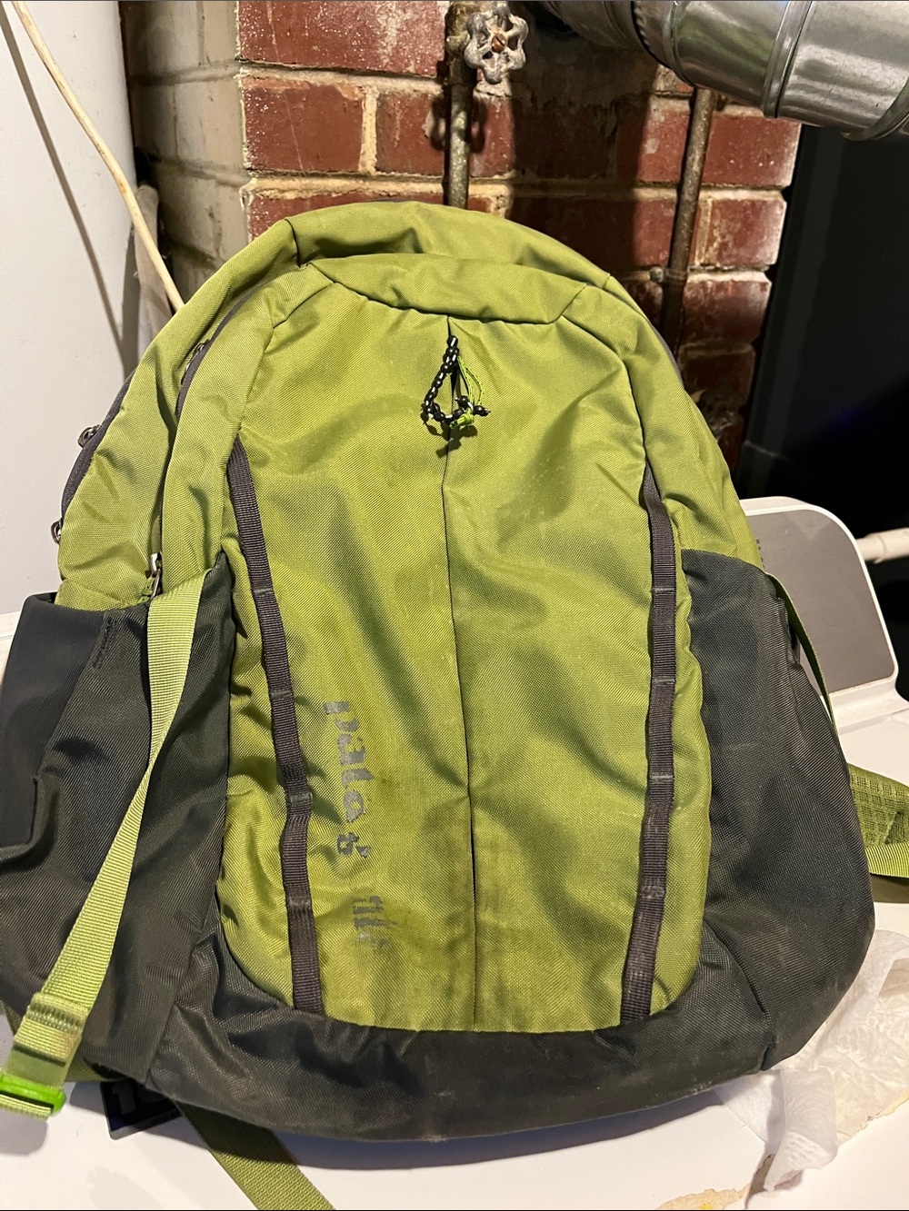 Men's Olive Green Patagonia Backpack - Casual Daypack
